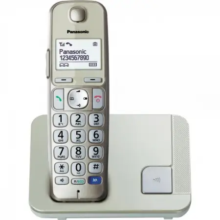 Panasonic KX-TGE210PDN